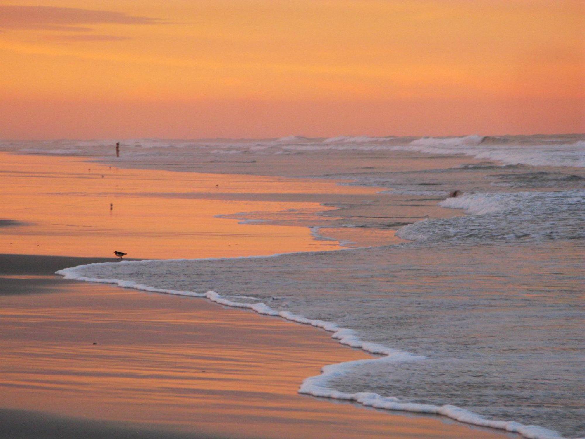 Guy Harvey Resort On Saint Augustine Beach Luaran gambar