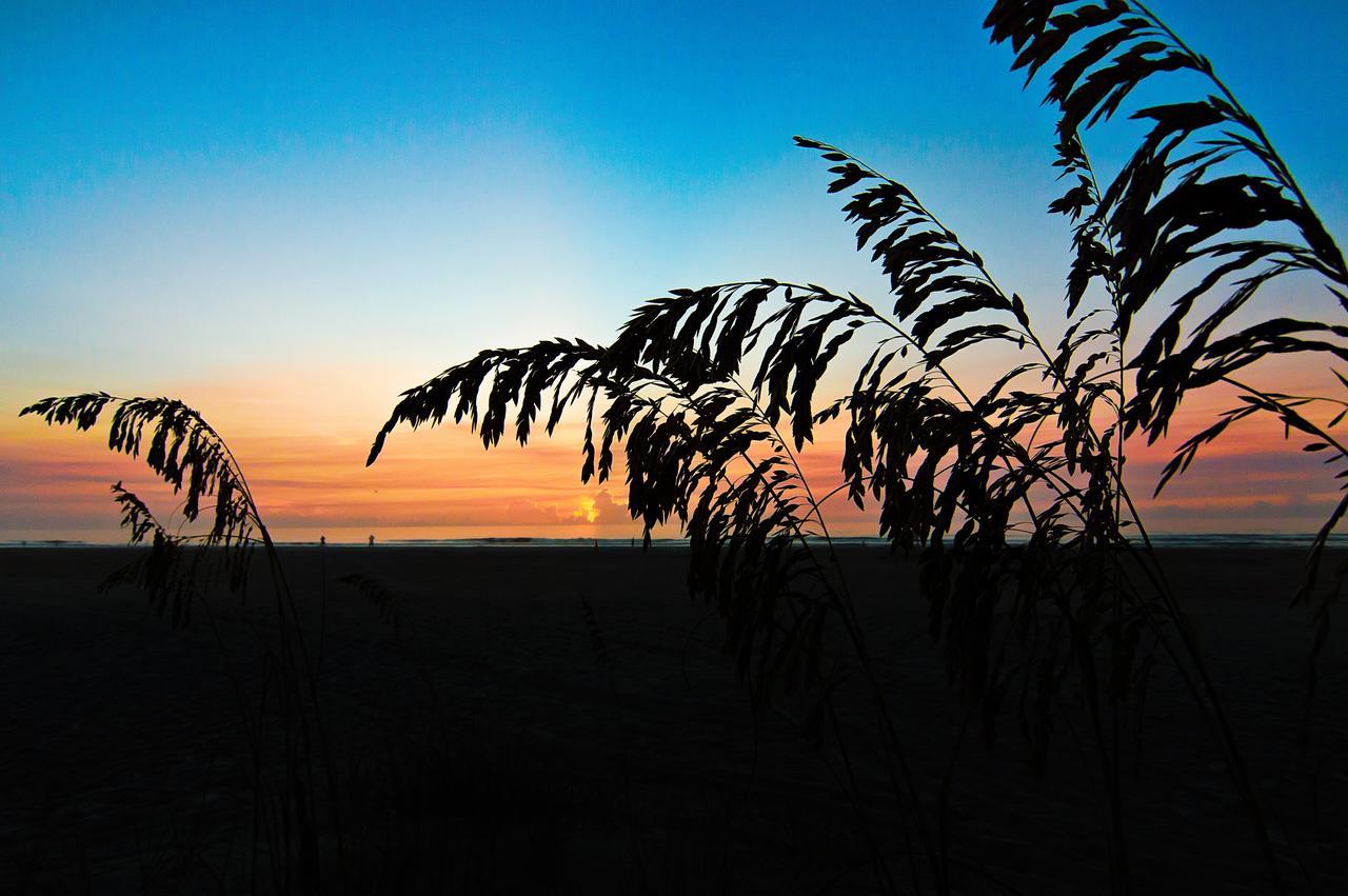 Guy Harvey Resort On Saint Augustine Beach Luaran gambar